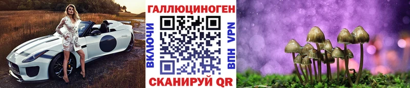 Купить где Очёр Псилоцибиновые грибы ЛСД